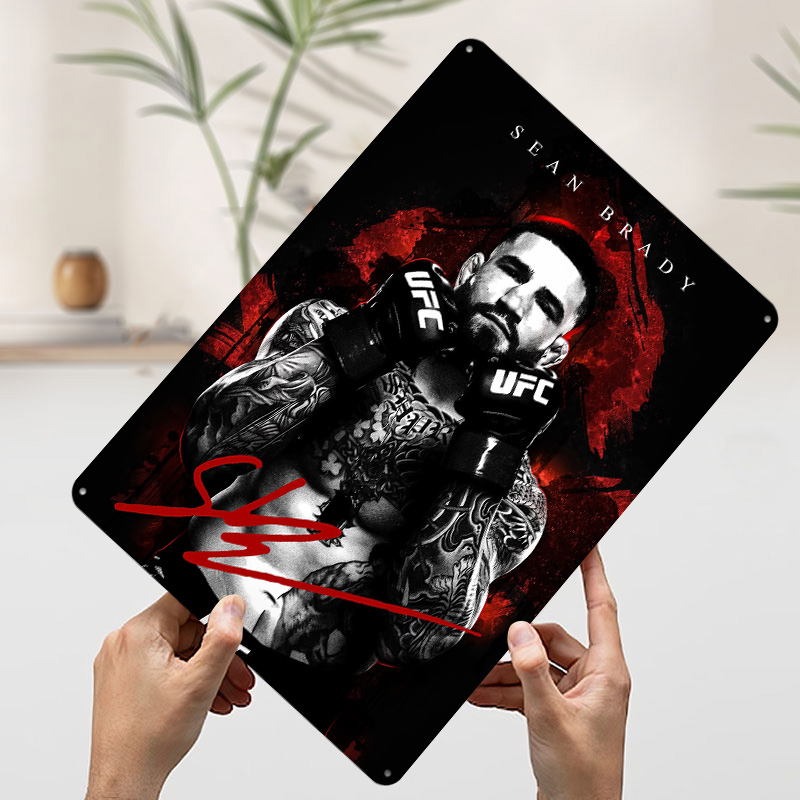 Sean Brady Fighter Portrait Ti - Retro Poster Gaming review and price
